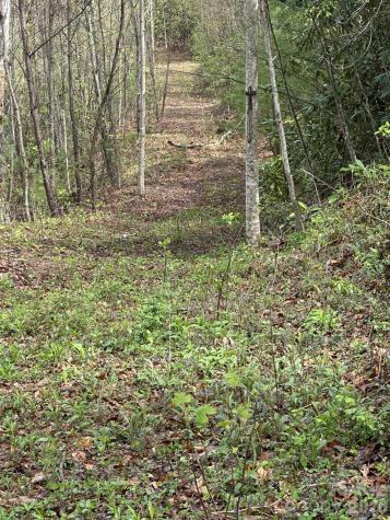 0 Dodgen Ridge Road Tuckasegee NC 28783
