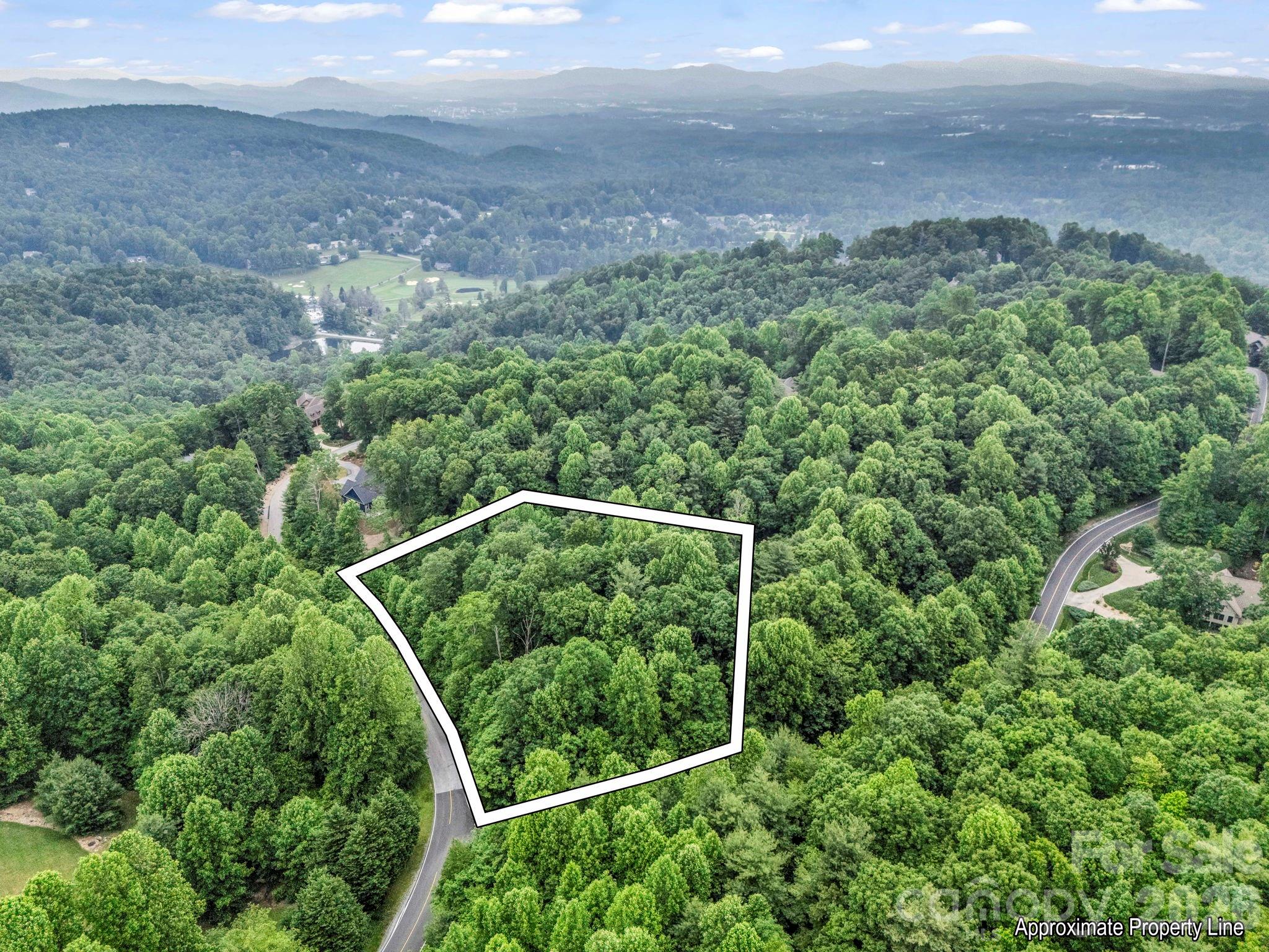 168 Tarnhill Drive Flat Rock NC 28731