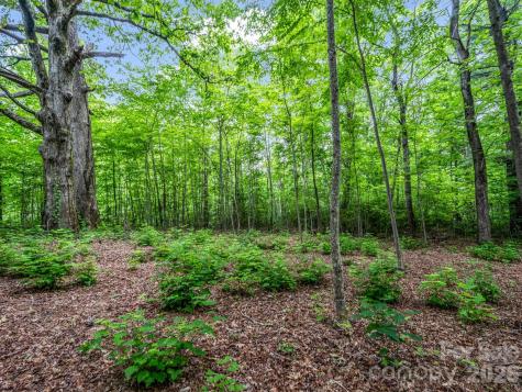 168 Tarnhill Drive Flat Rock NC 28731