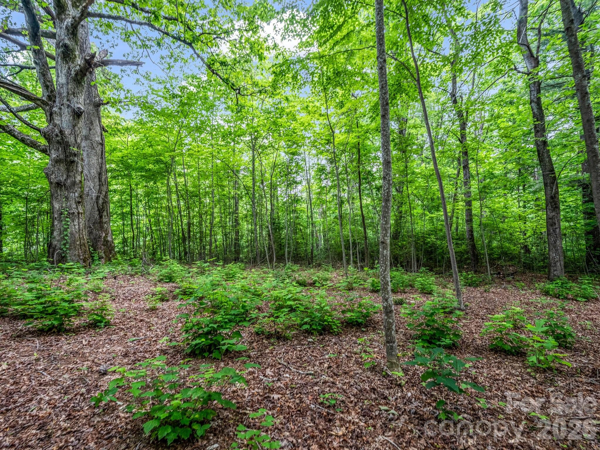 168 Tarnhill Drive Flat Rock NC 28731