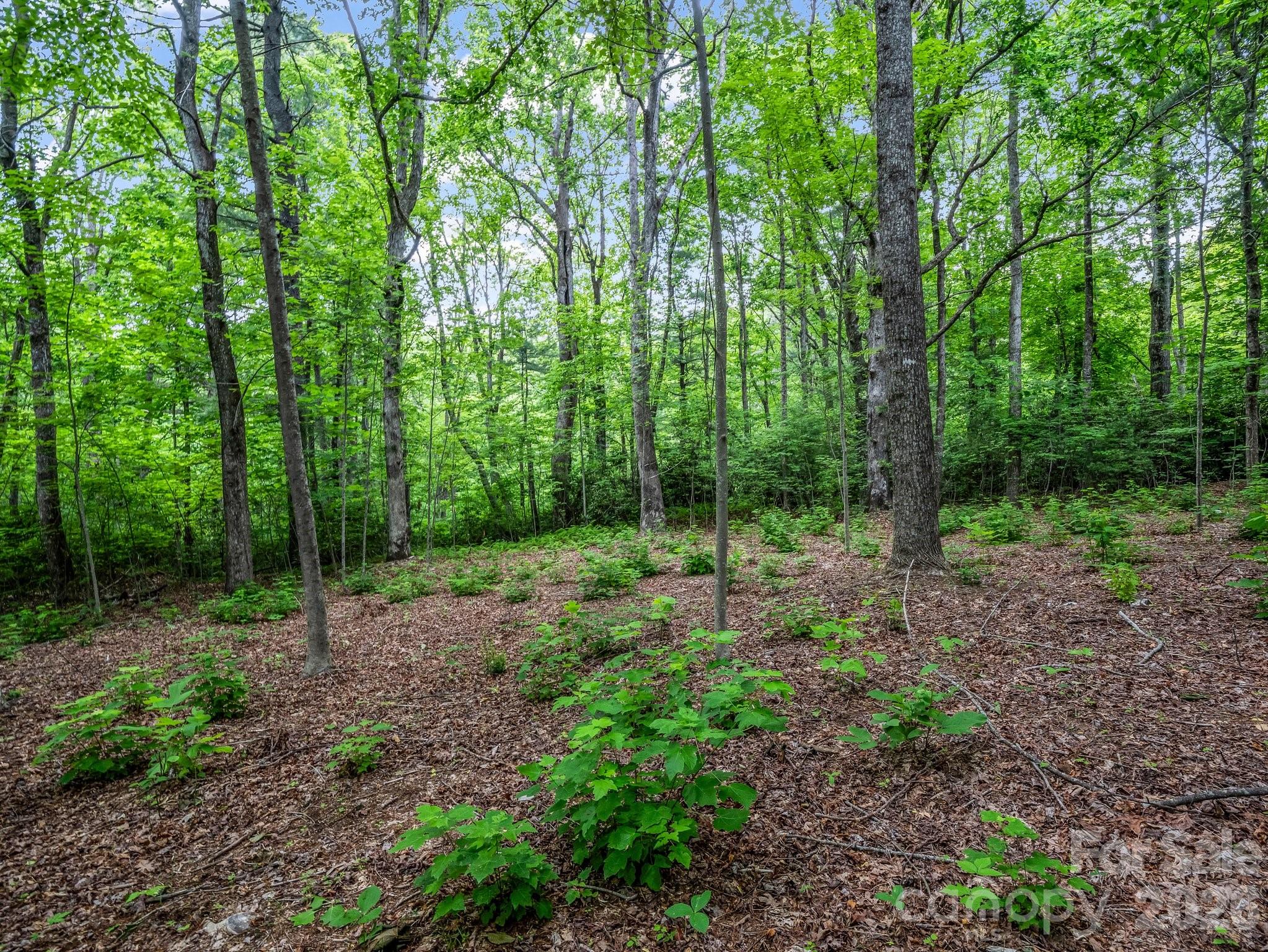 168 Tarnhill Drive Flat Rock NC 28731