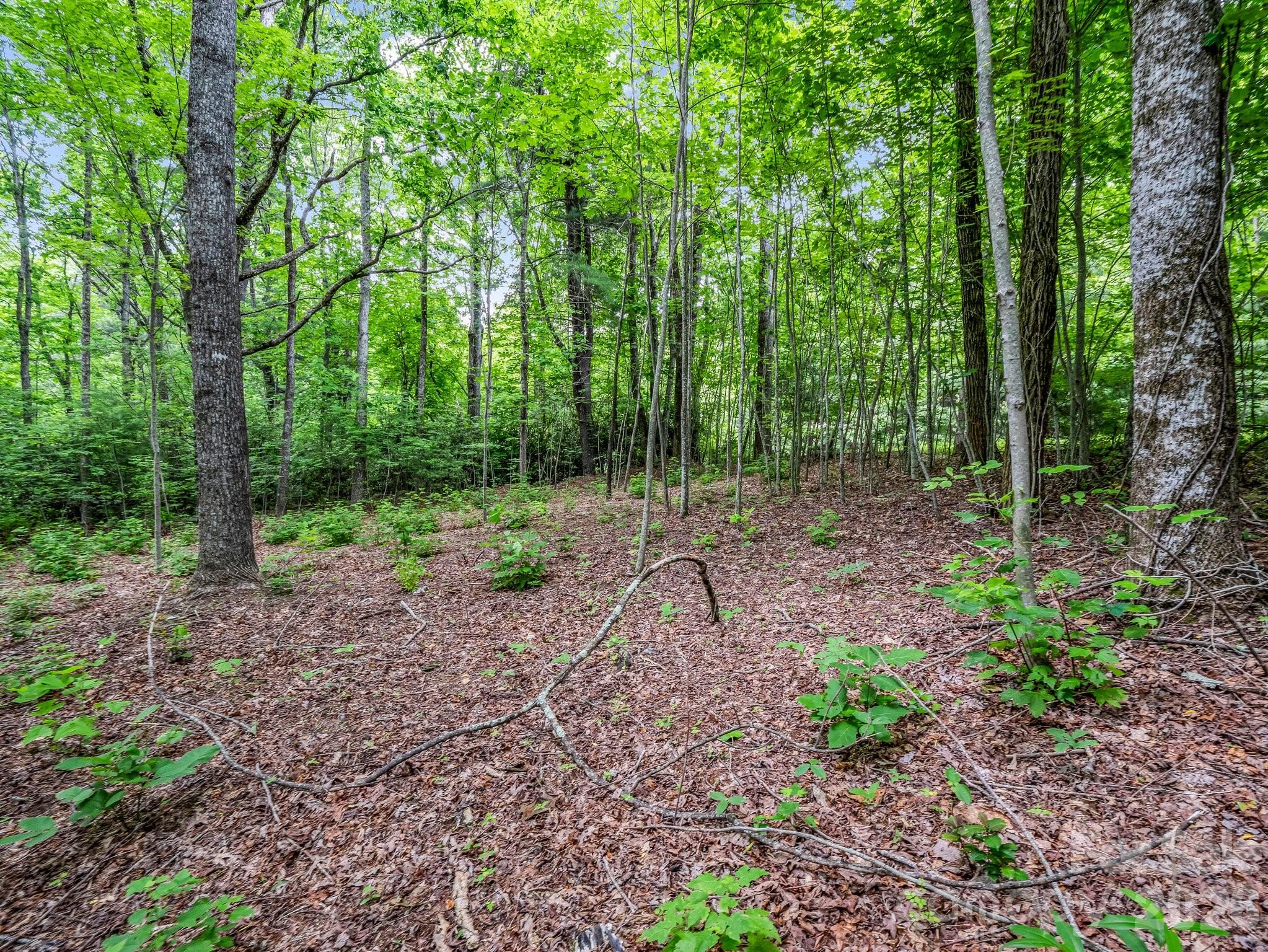 168 Tarnhill Drive Flat Rock NC 28731