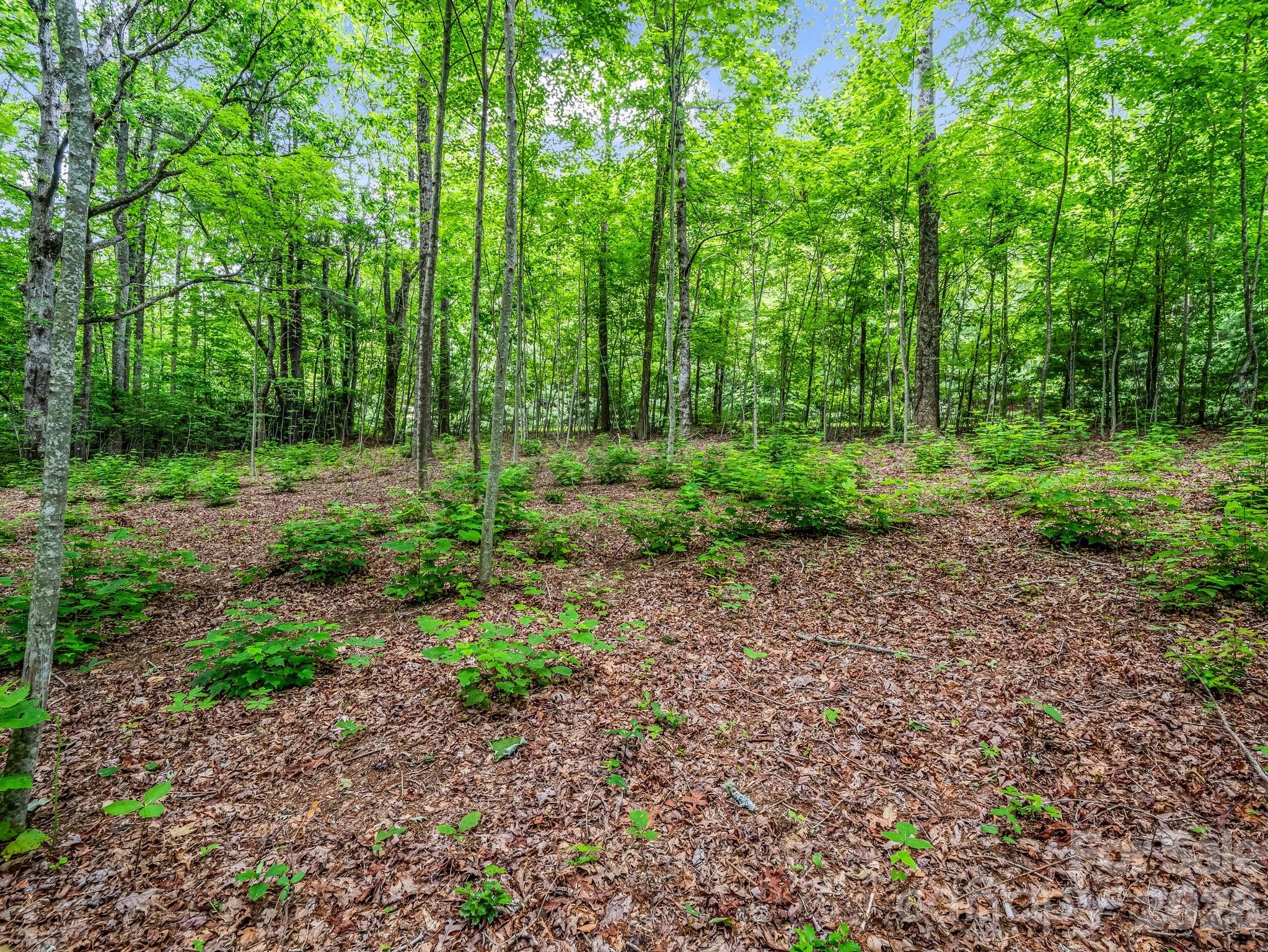 168 Tarnhill Drive Flat Rock NC 28731