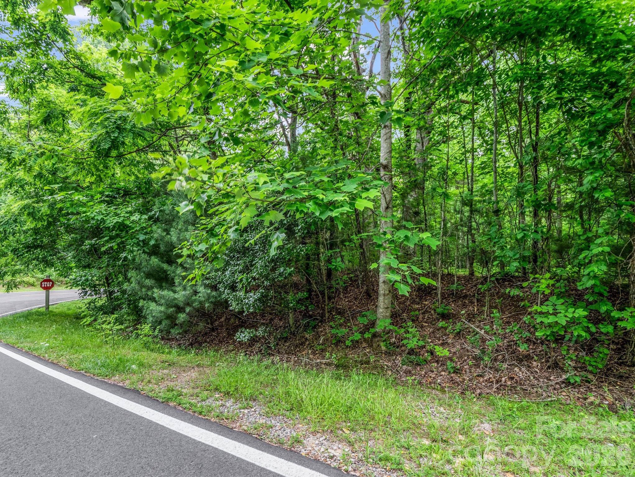 168 Tarnhill Drive Flat Rock NC 28731