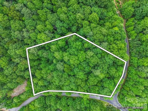 168 Tarnhill Drive Flat Rock NC 28731