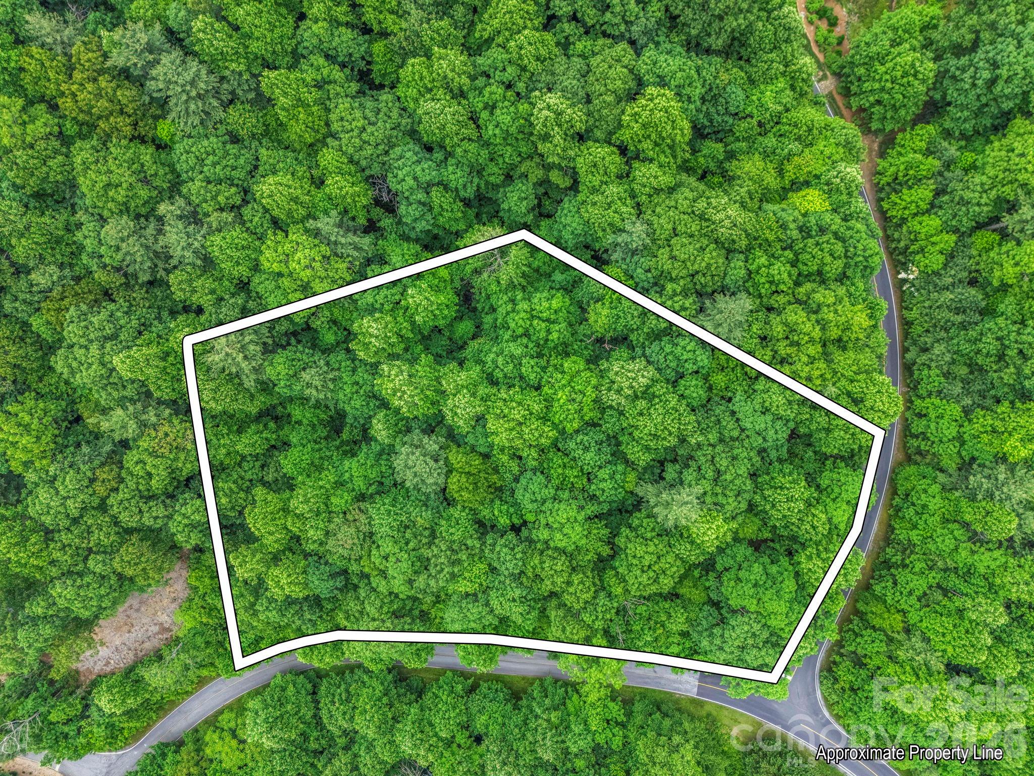168 Tarnhill Drive Flat Rock NC 28731