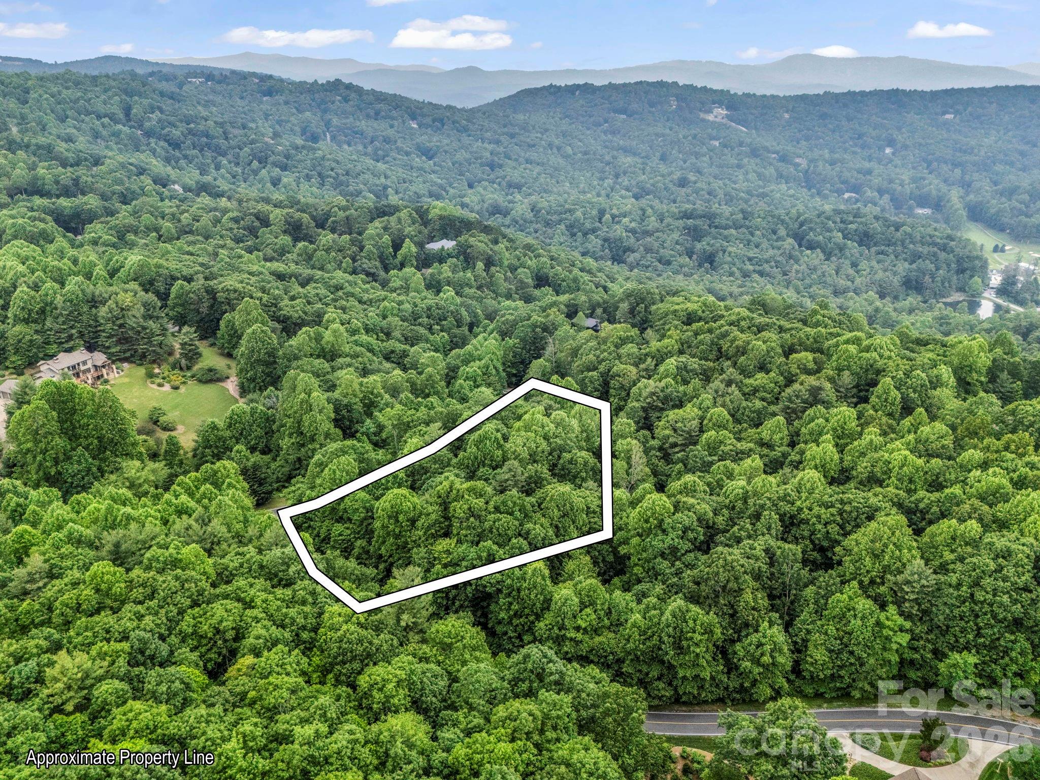 168 Tarnhill Drive Flat Rock NC 28731