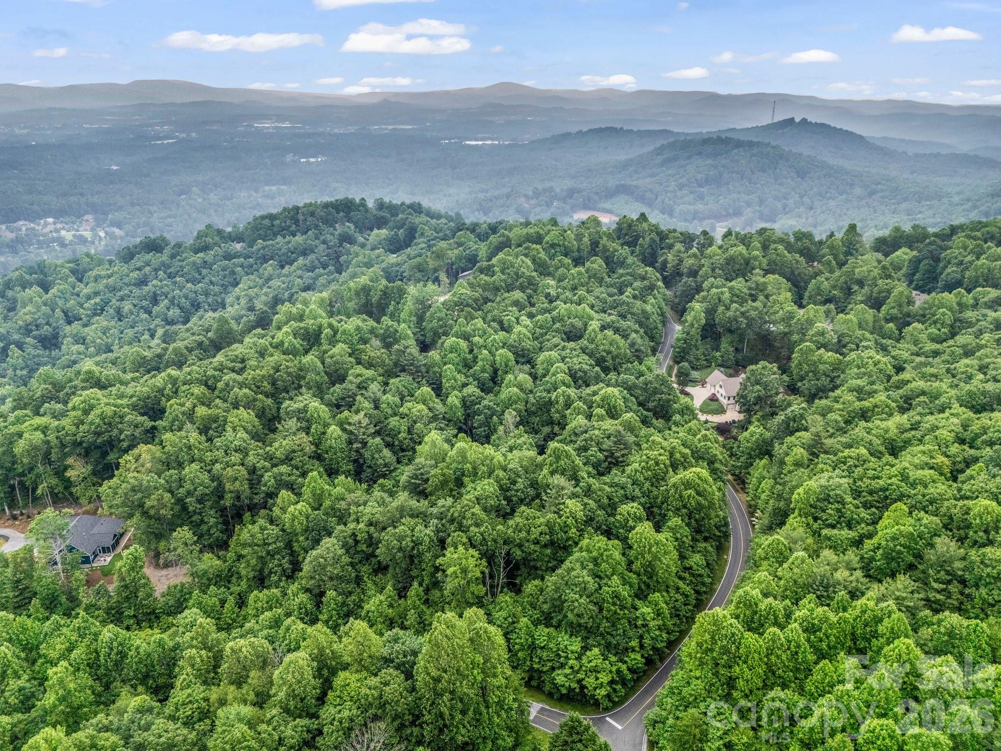 168 Tarnhill Drive Flat Rock NC 28731