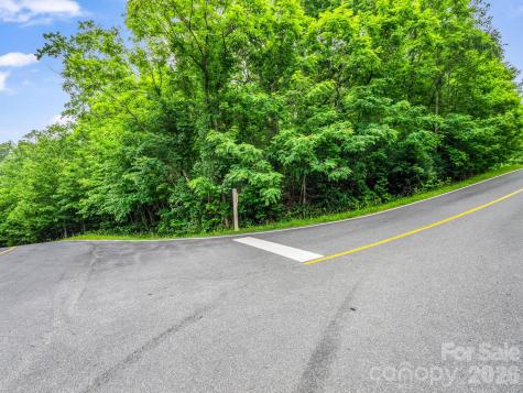 168 Tarnhill Drive Flat Rock NC 28731
