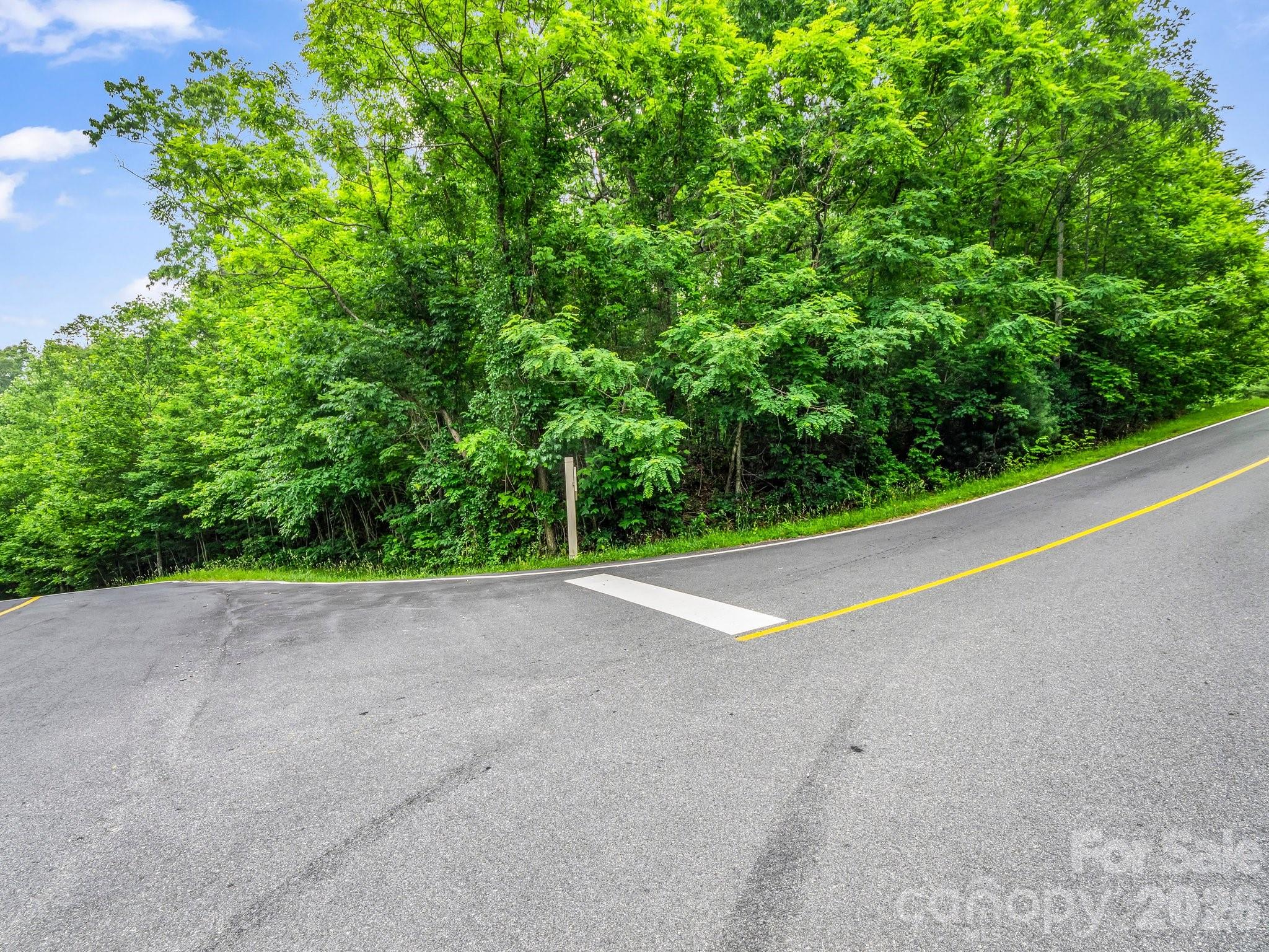 168 Tarnhill Drive Flat Rock NC 28731