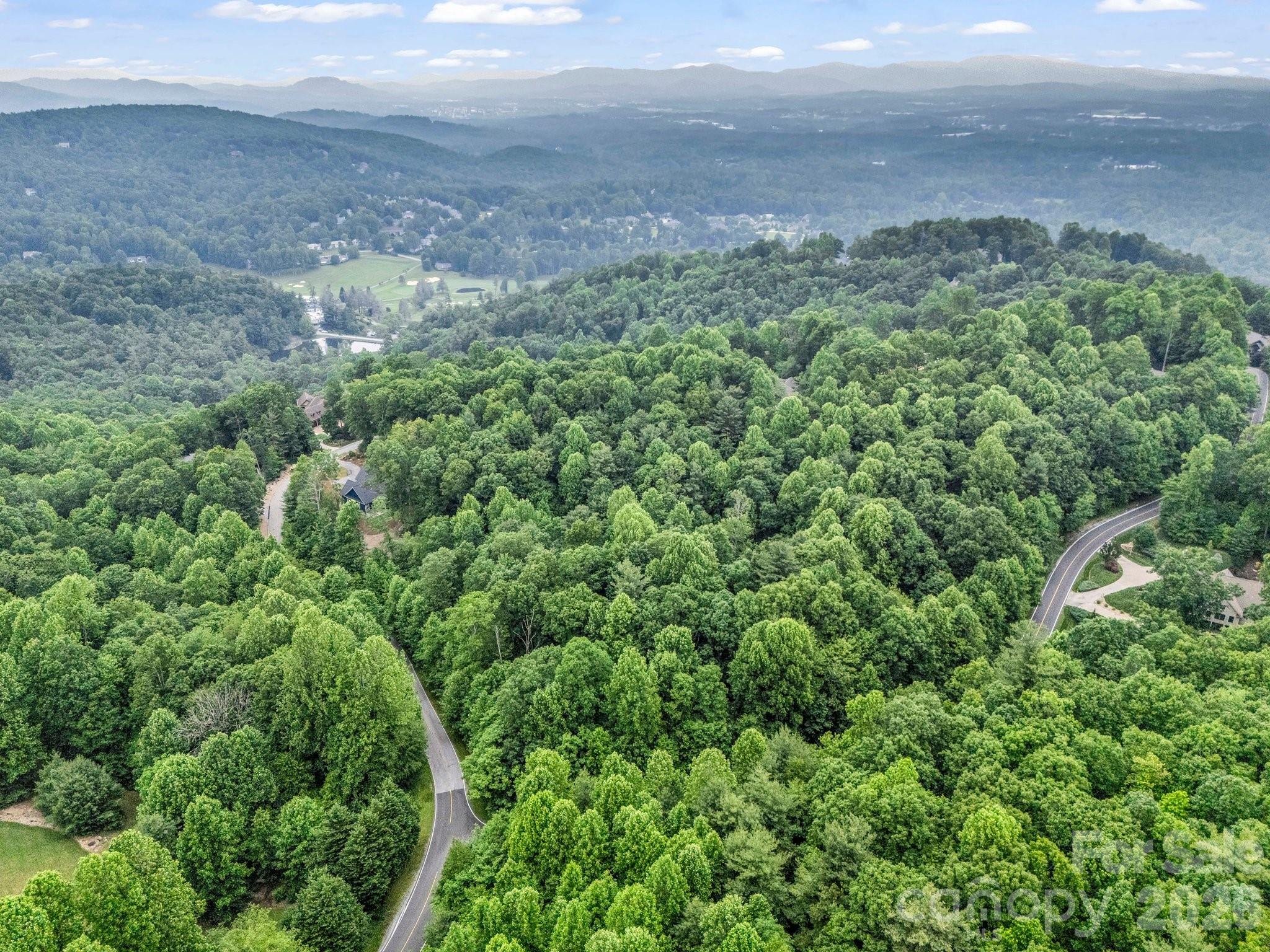 168 Tarnhill Drive Flat Rock NC 28731