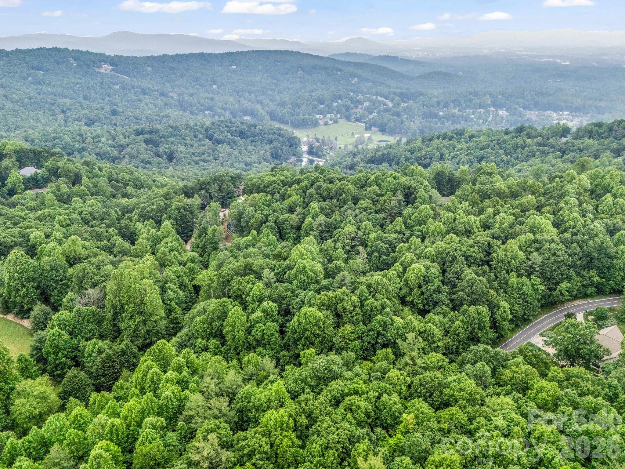 168 Tarnhill Drive Flat Rock NC 28731