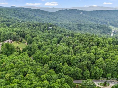 168 Tarnhill Drive Flat Rock NC 28731