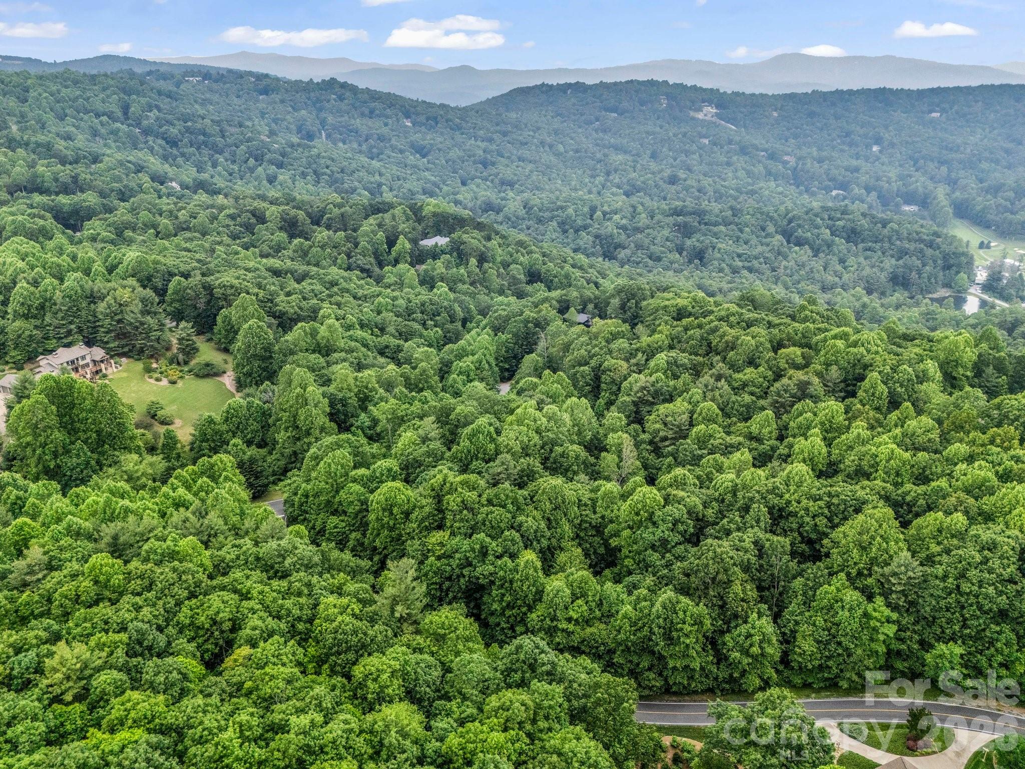 168 Tarnhill Drive Flat Rock NC 28731