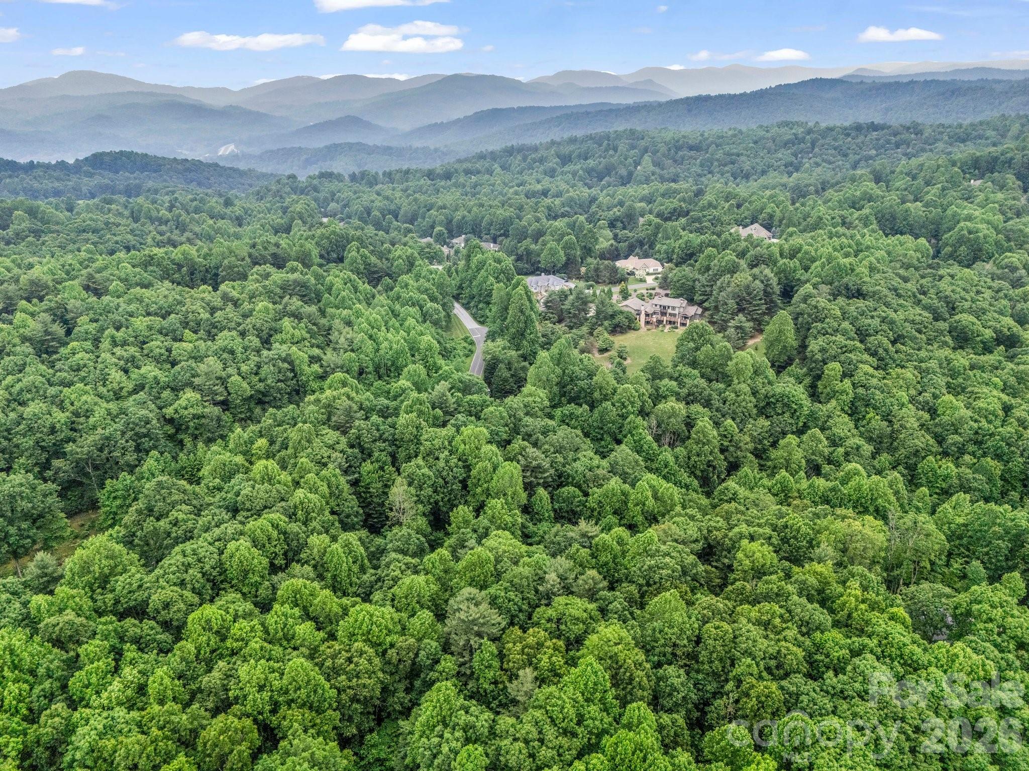168 Tarnhill Drive Flat Rock NC 28731