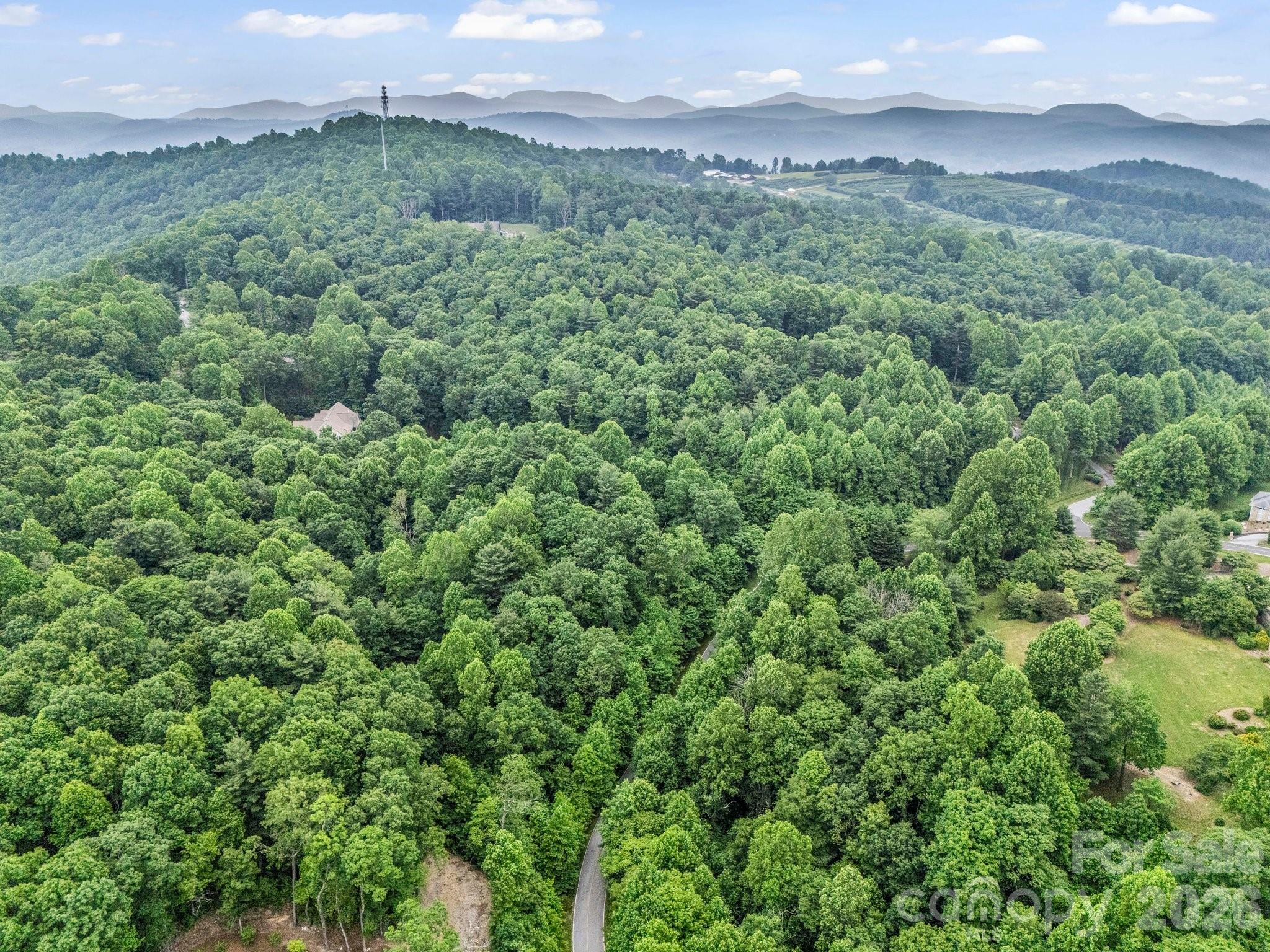 168 Tarnhill Drive Flat Rock NC 28731