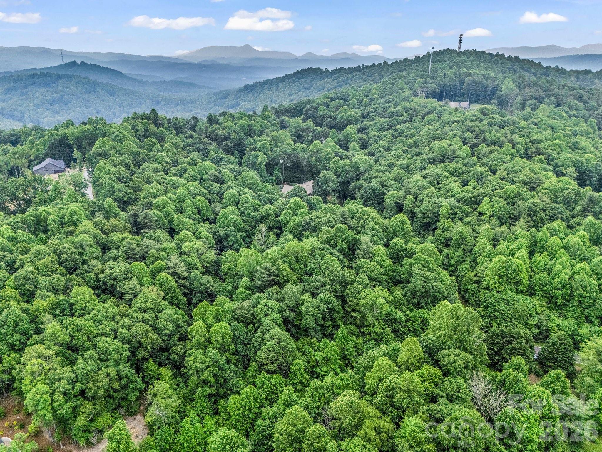 168 Tarnhill Drive Flat Rock NC 28731