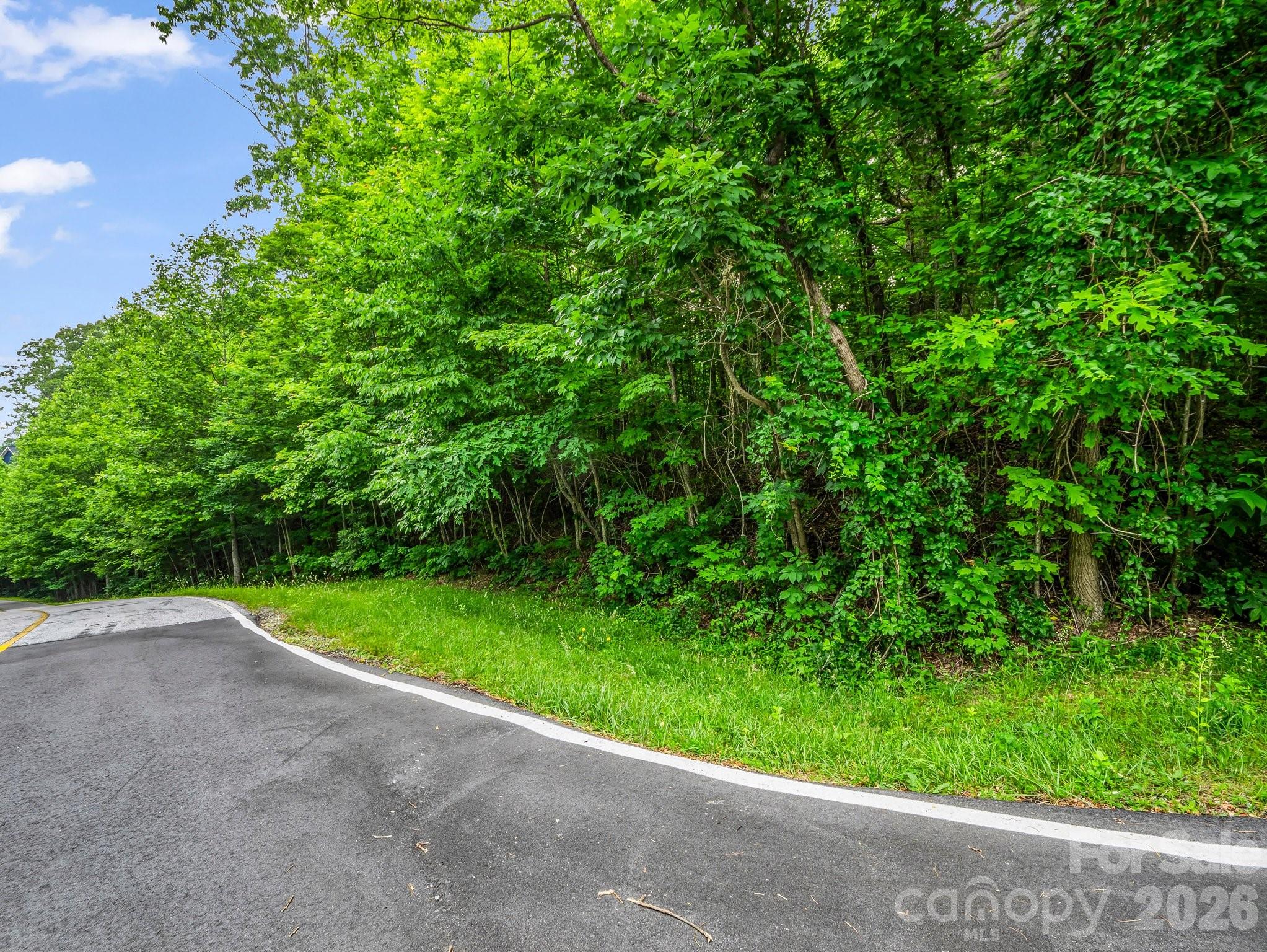 168 Tarnhill Drive Flat Rock NC 28731