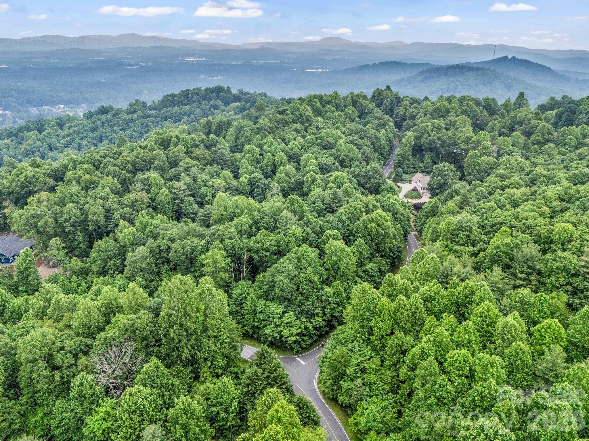 168 Tarnhill Drive Flat Rock NC 28731
