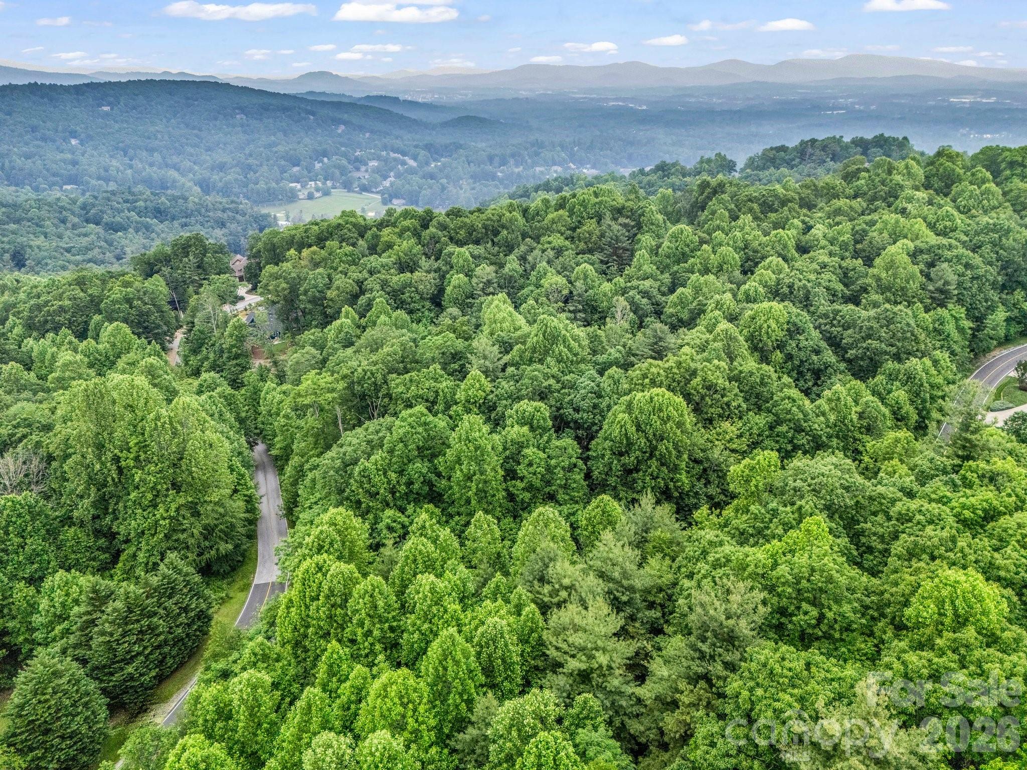 168 Tarnhill Drive Flat Rock NC 28731