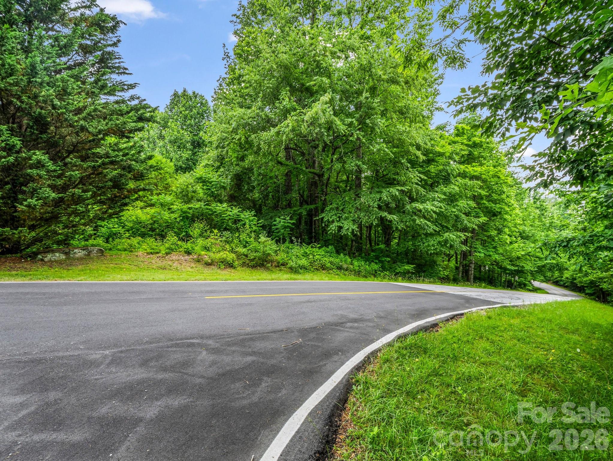 168 Tarnhill Drive Flat Rock NC 28731
