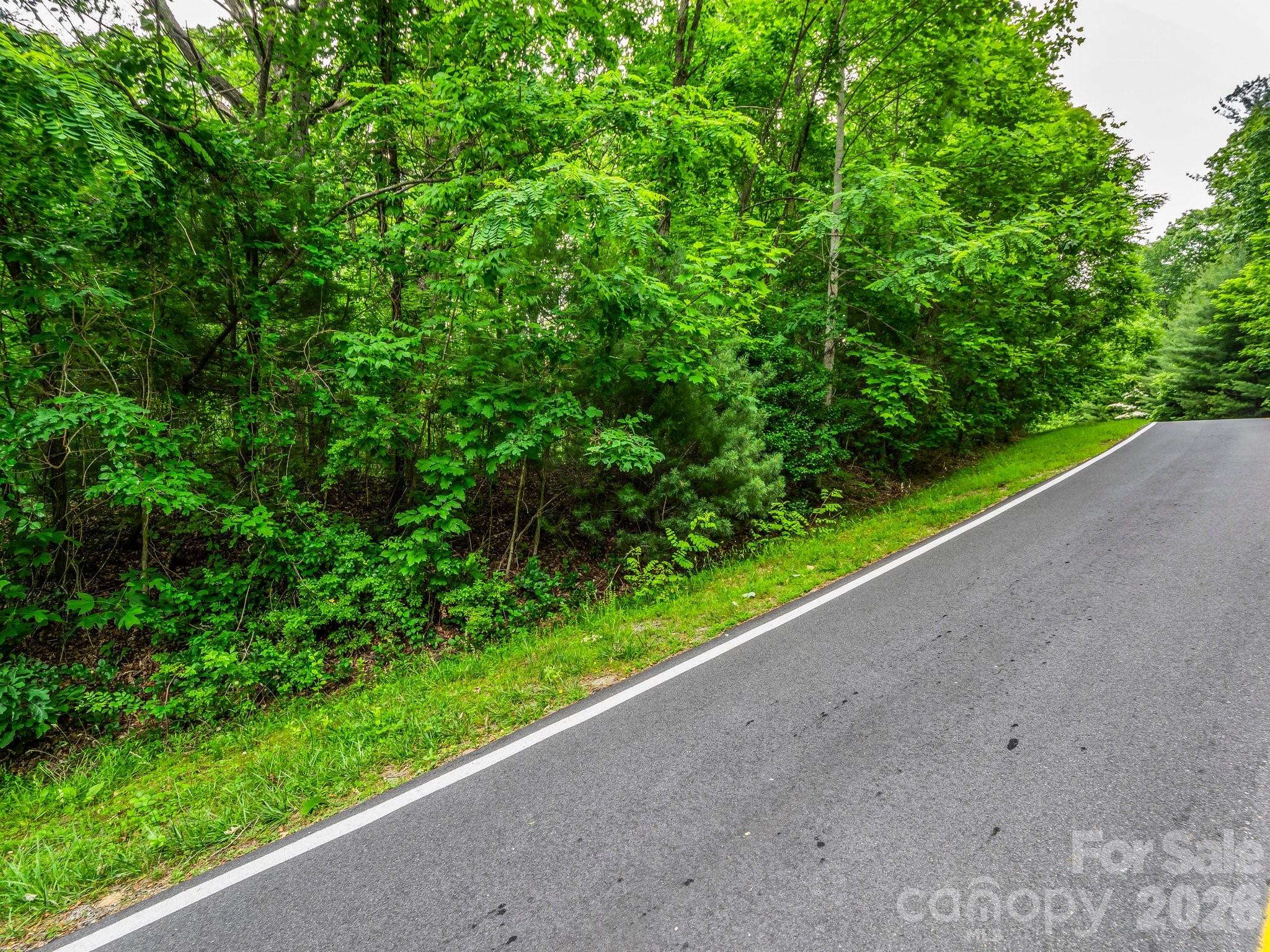 168 Tarnhill Drive Flat Rock NC 28731