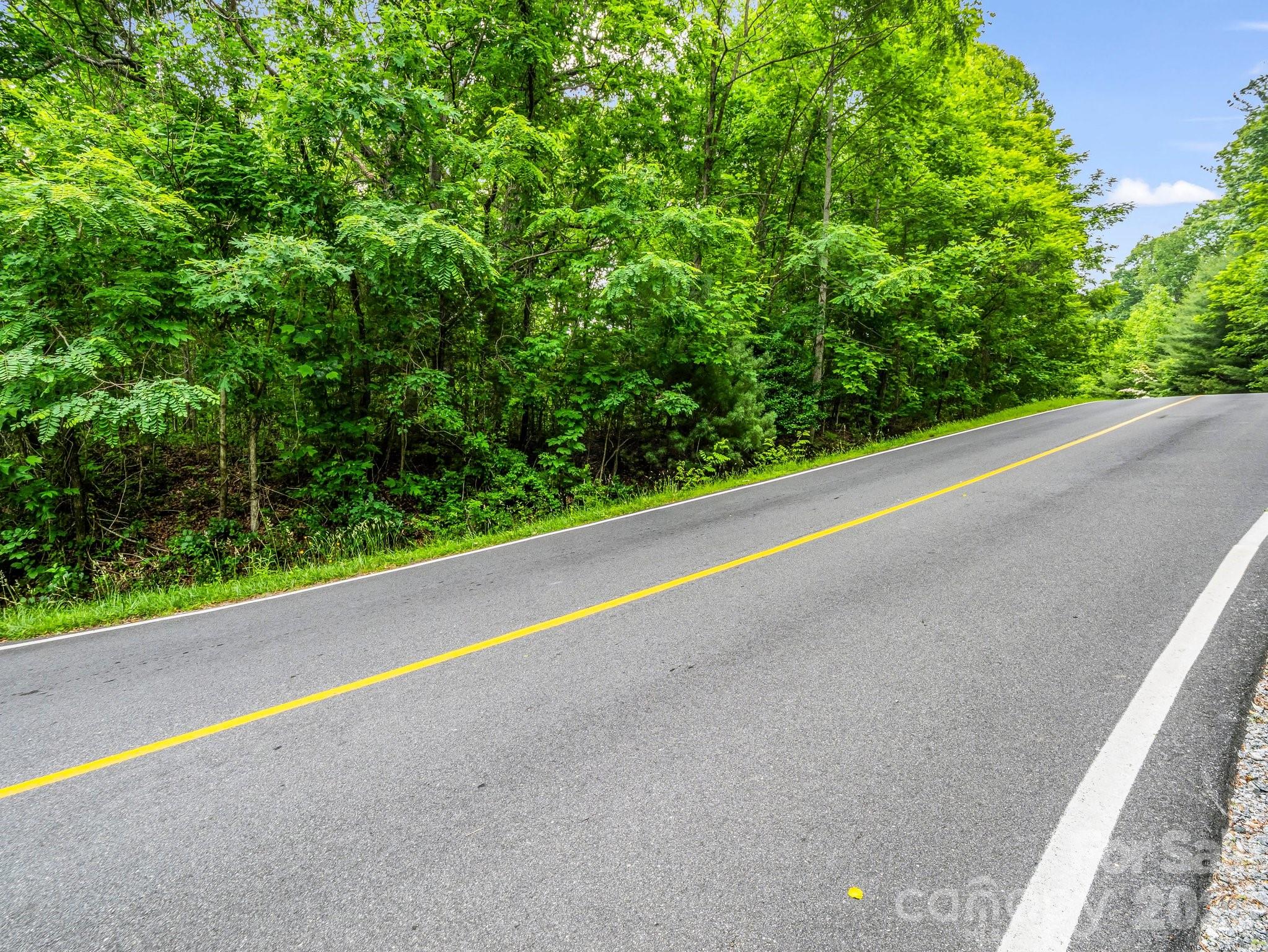 168 Tarnhill Drive Flat Rock NC 28731