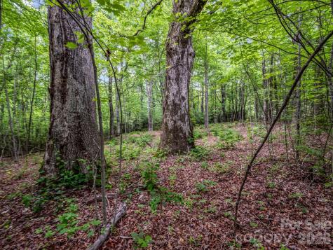 168 Tarnhill Drive Flat Rock NC 28731