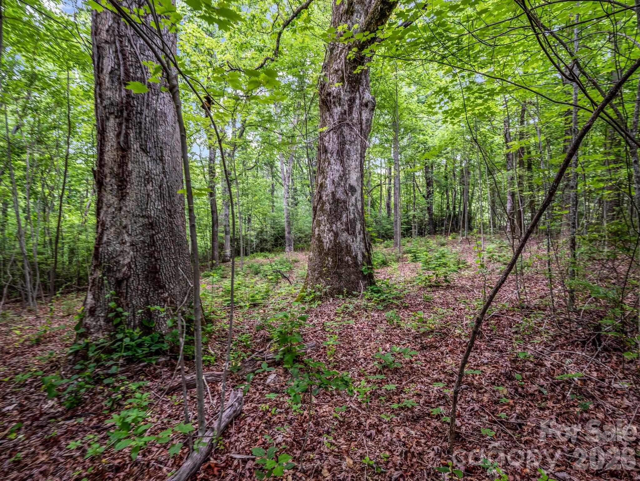 168 Tarnhill Drive Flat Rock NC 28731