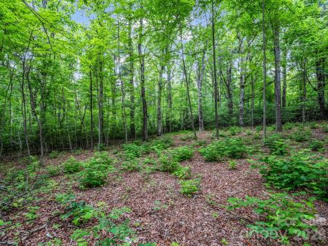 168 Tarnhill Drive Flat Rock NC 28731
