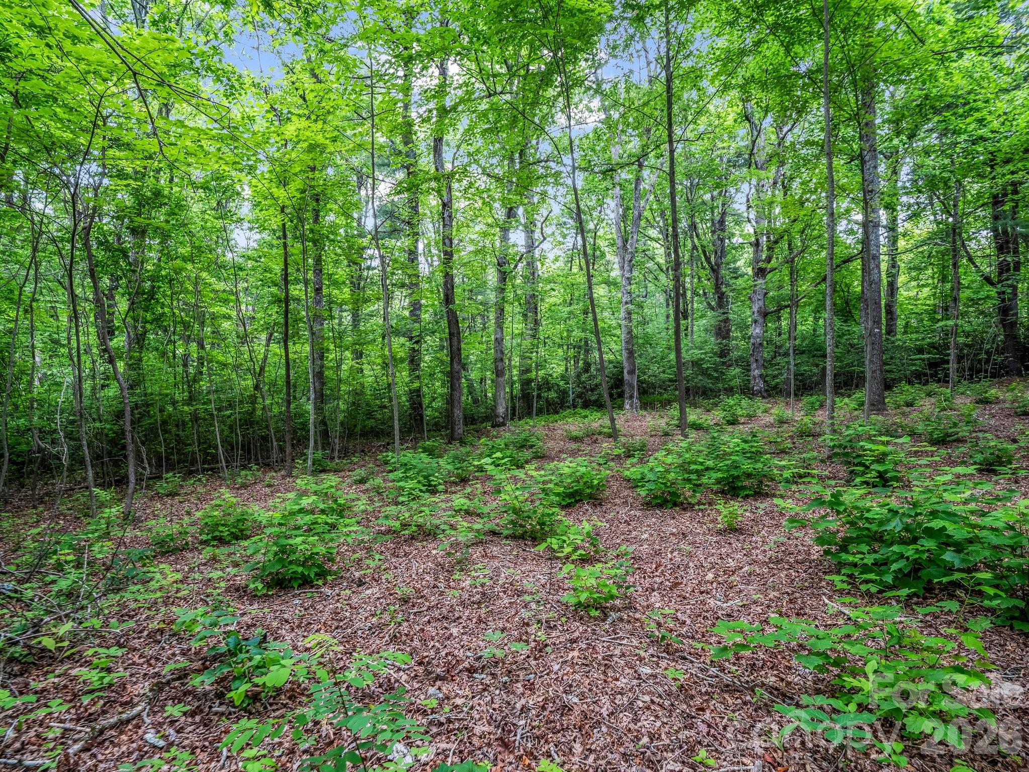 168 Tarnhill Drive Flat Rock NC 28731