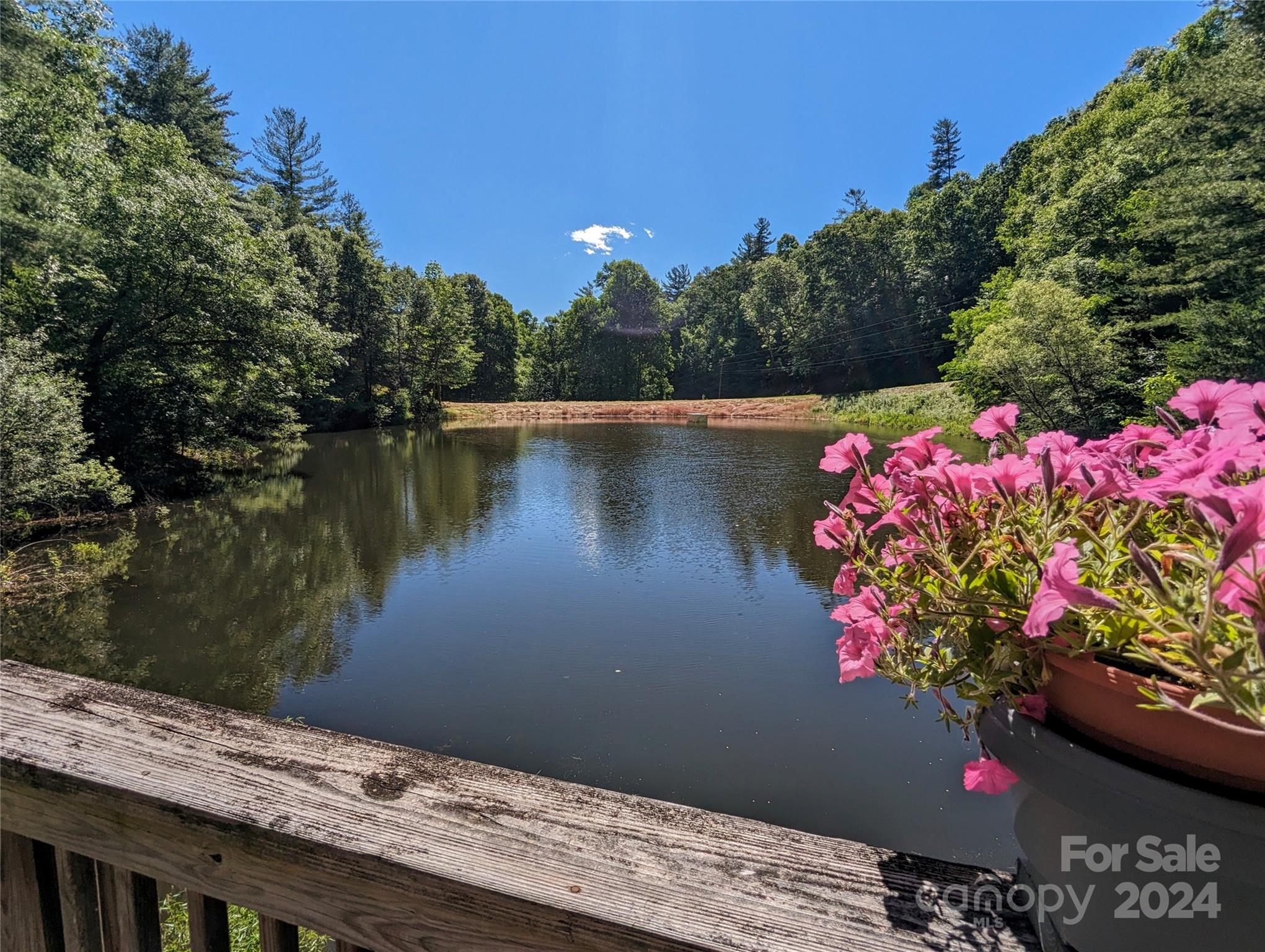001 Shoal Pond Cove Burnsville NC 28714