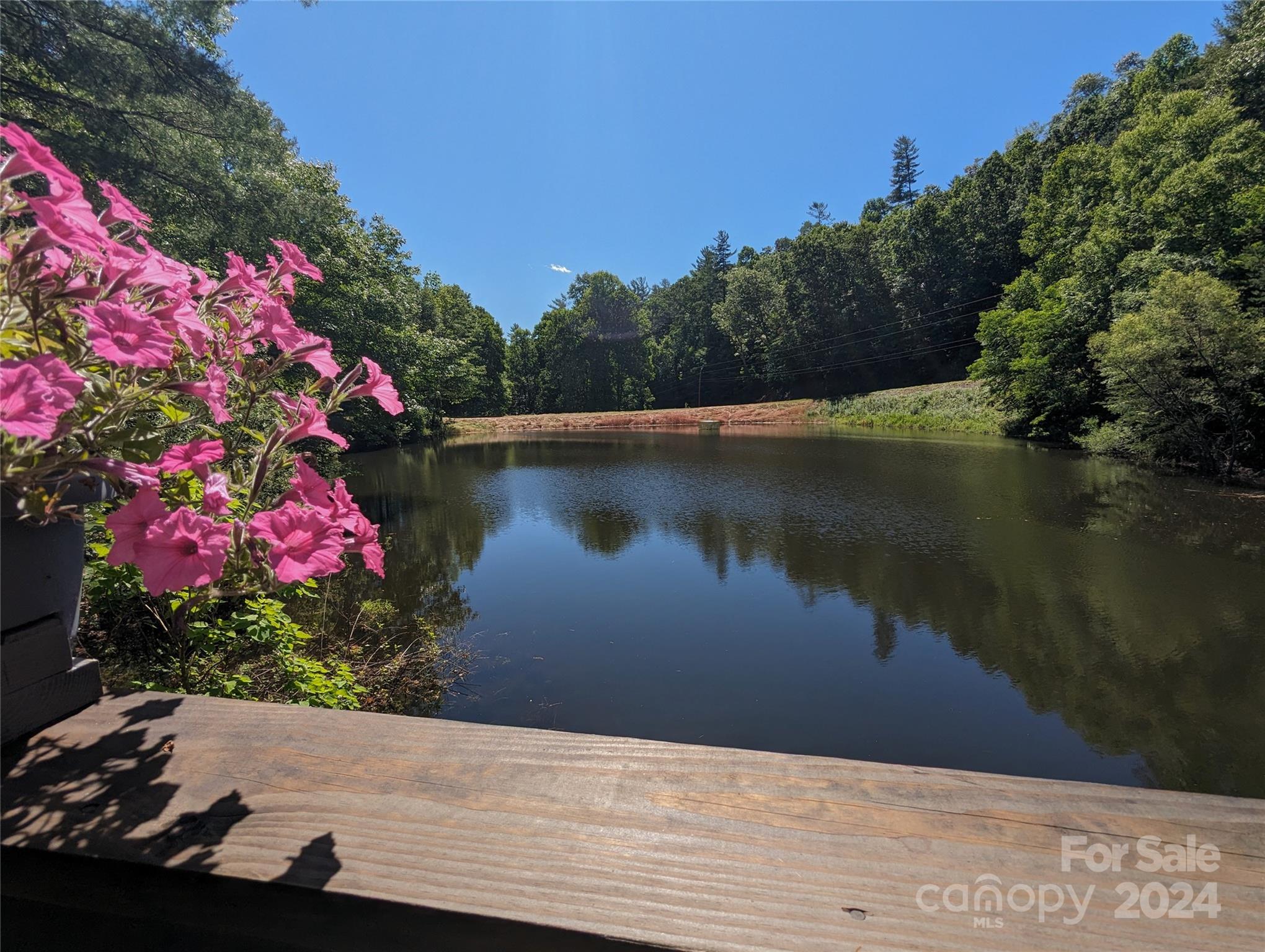 001 Shoal Pond Cove Burnsville NC 28714