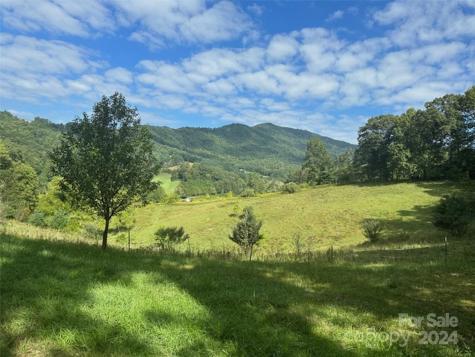 001 Shoal Pond Cove Burnsville NC 28714