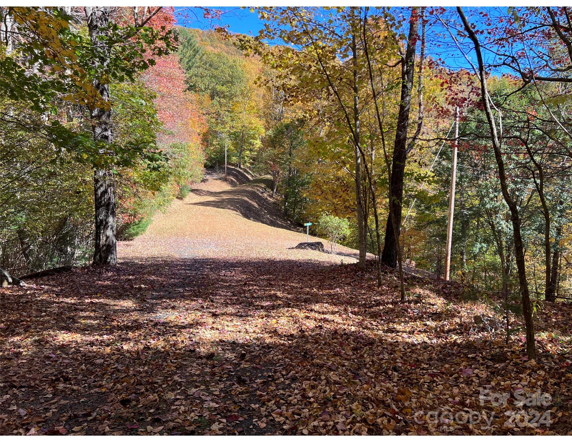 001 Shoal Pond Cove Burnsville NC 28714
