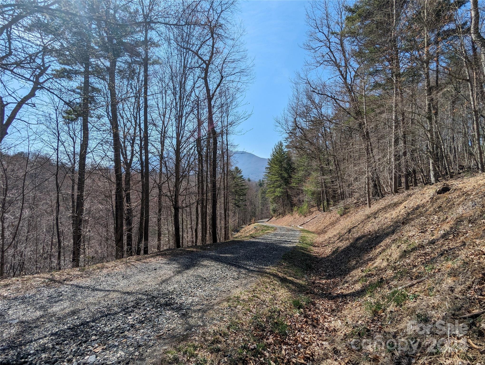 001 Shoal Pond Cove Burnsville NC 28714