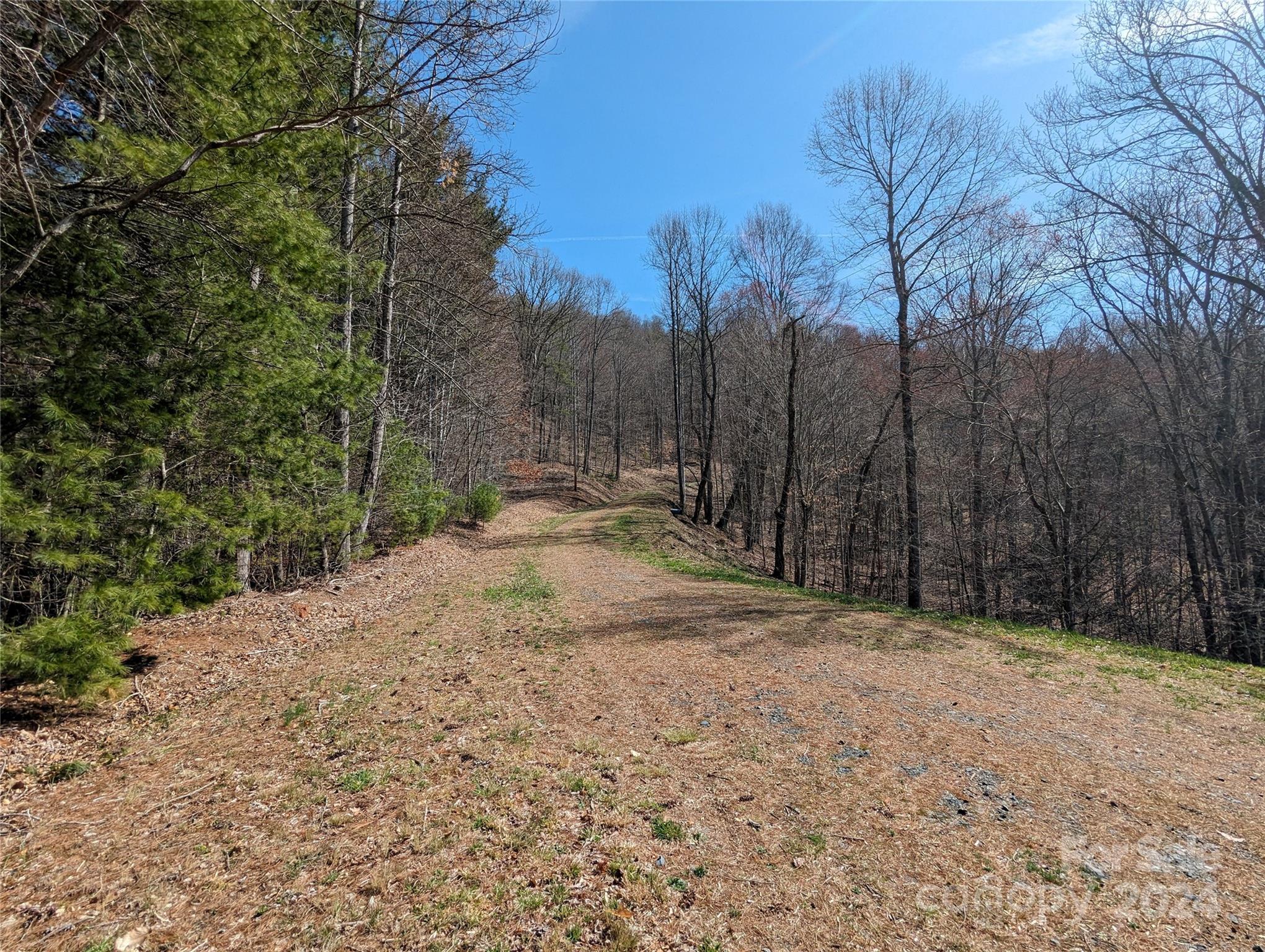 001 Shoal Pond Cove Burnsville NC 28714