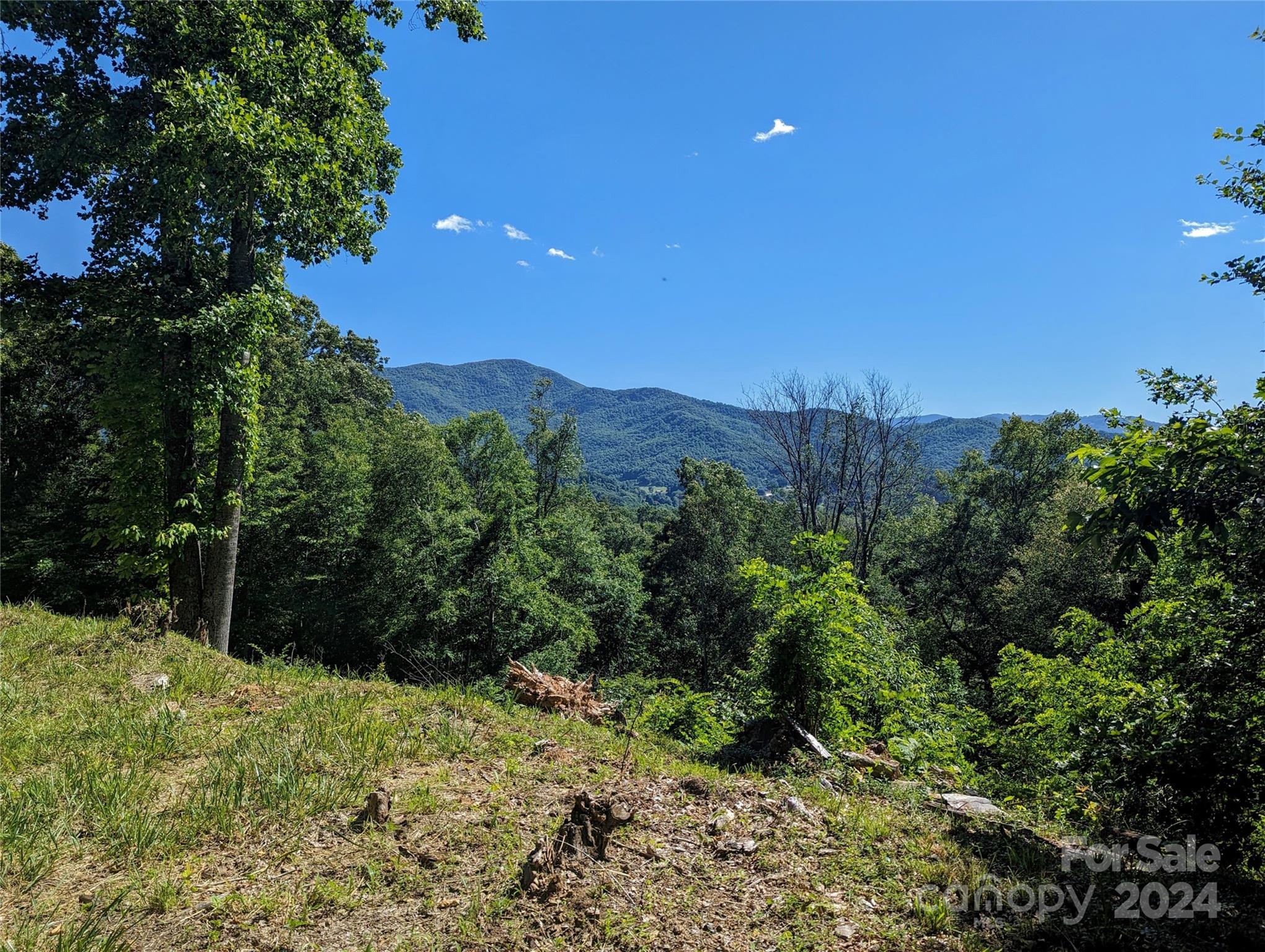 001 Shoal Pond Cove Burnsville NC 28714