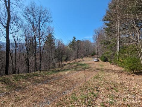 001 Shoal Pond Cove Burnsville NC 28714