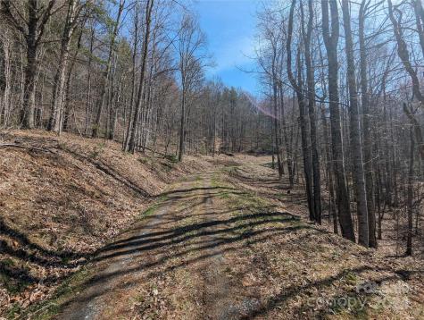 001 Shoal Pond Cove Burnsville NC 28714