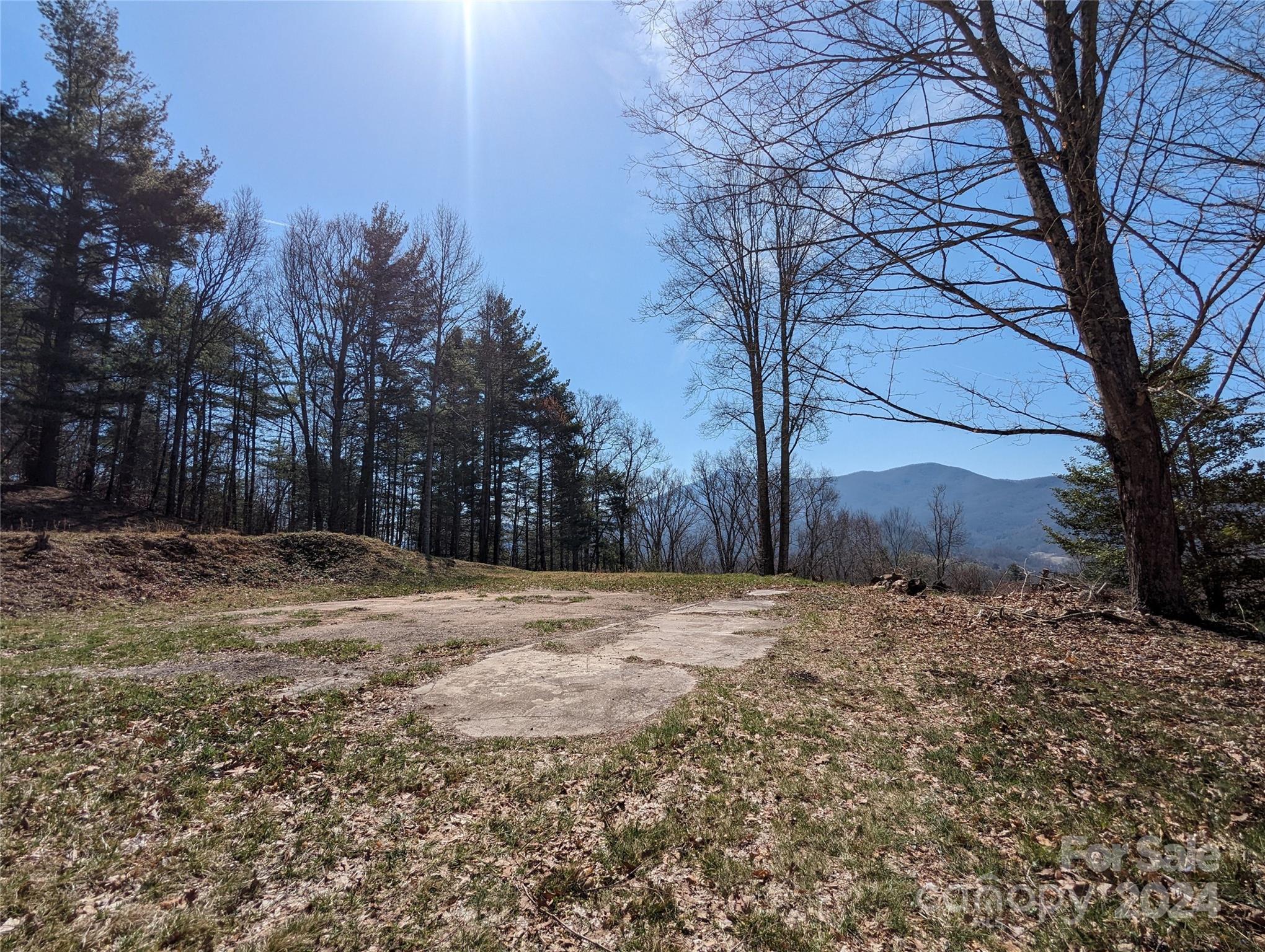 001 Shoal Pond Cove Burnsville NC 28714