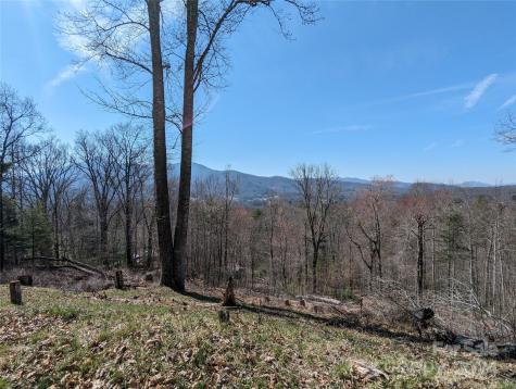 001 Shoal Pond Cove Burnsville NC 28714