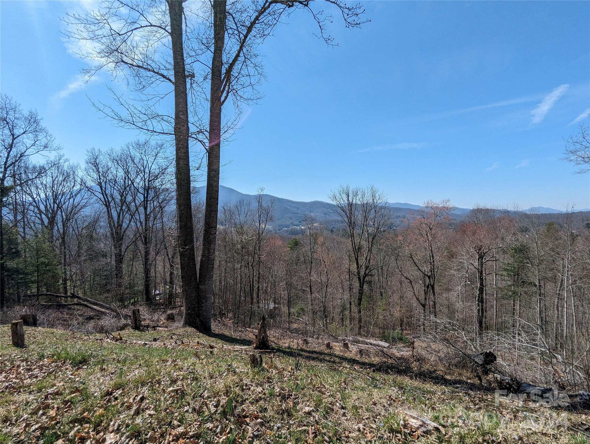 001 Shoal Pond Cove Burnsville NC 28714