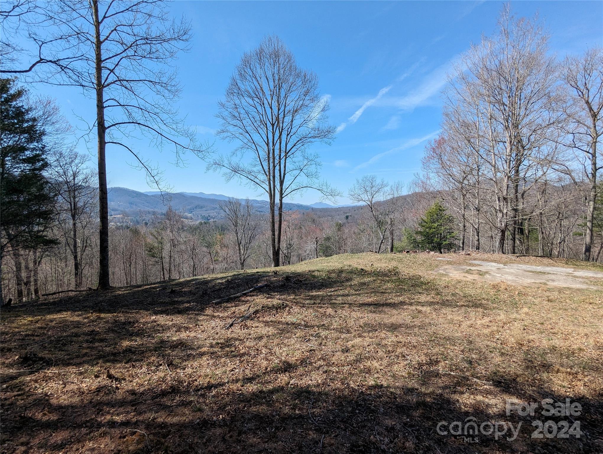 001 Shoal Pond Cove Burnsville NC 28714