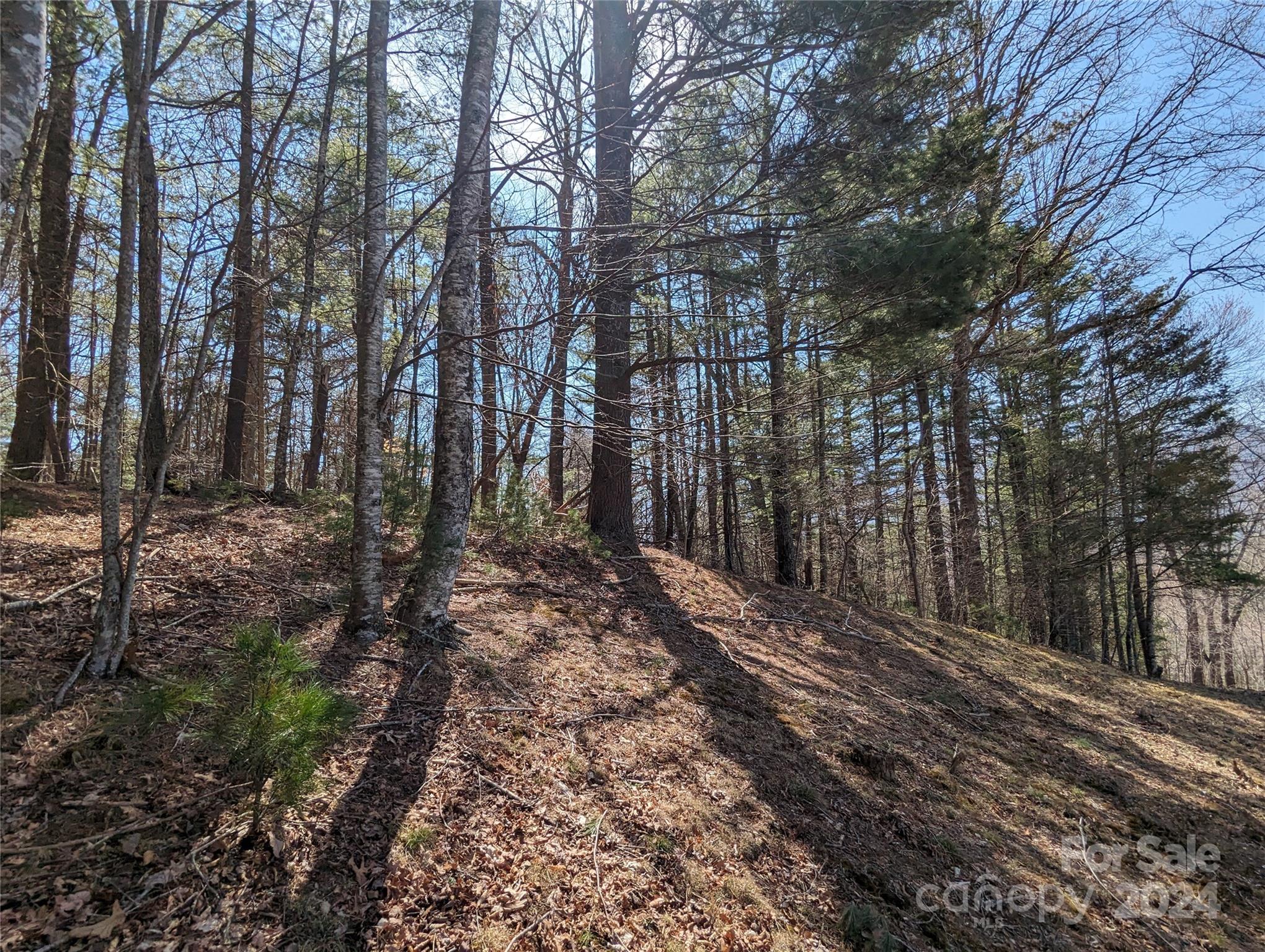 001 Shoal Pond Cove Burnsville NC 28714