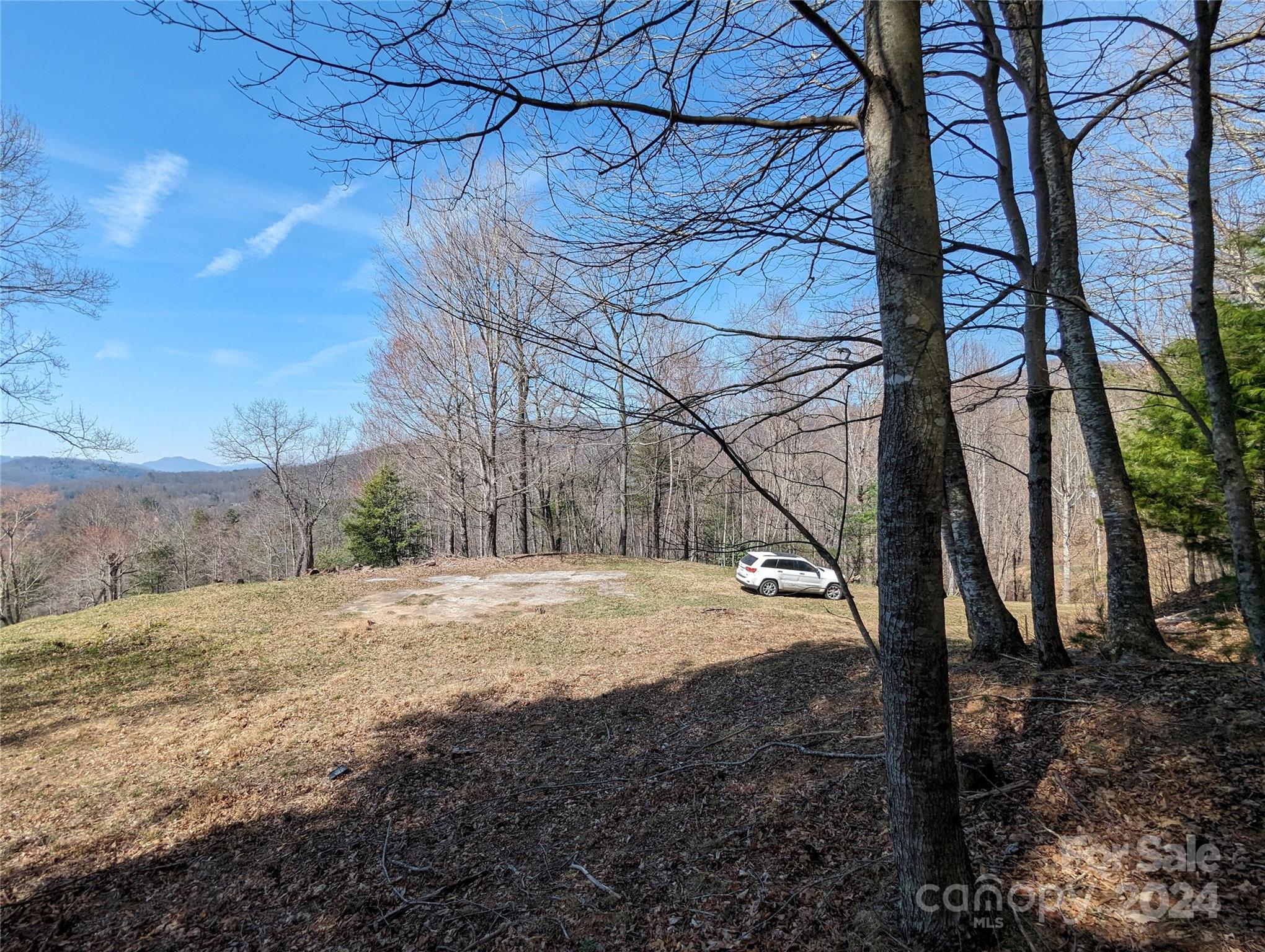 001 Shoal Pond Cove Burnsville NC 28714