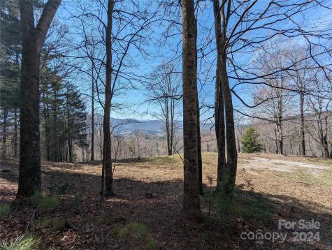 001 Shoal Pond Cove Burnsville NC 28714
