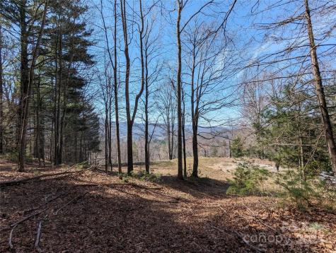 001 Shoal Pond Cove Burnsville NC 28714