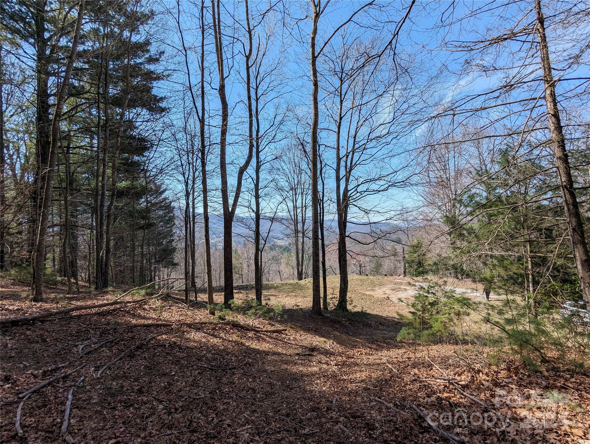 001 Shoal Pond Cove Burnsville NC 28714