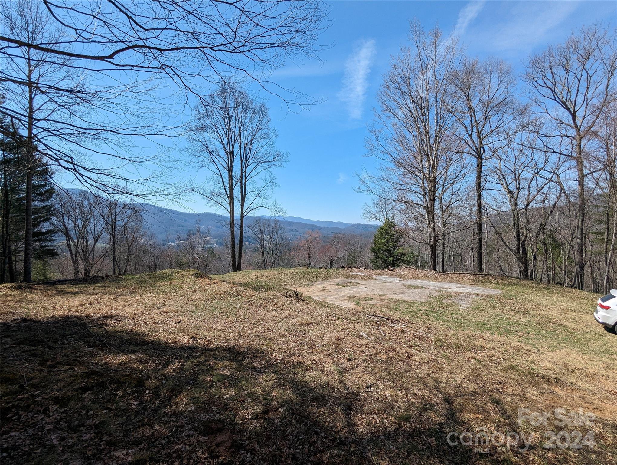 001 Shoal Pond Cove Burnsville NC 28714
